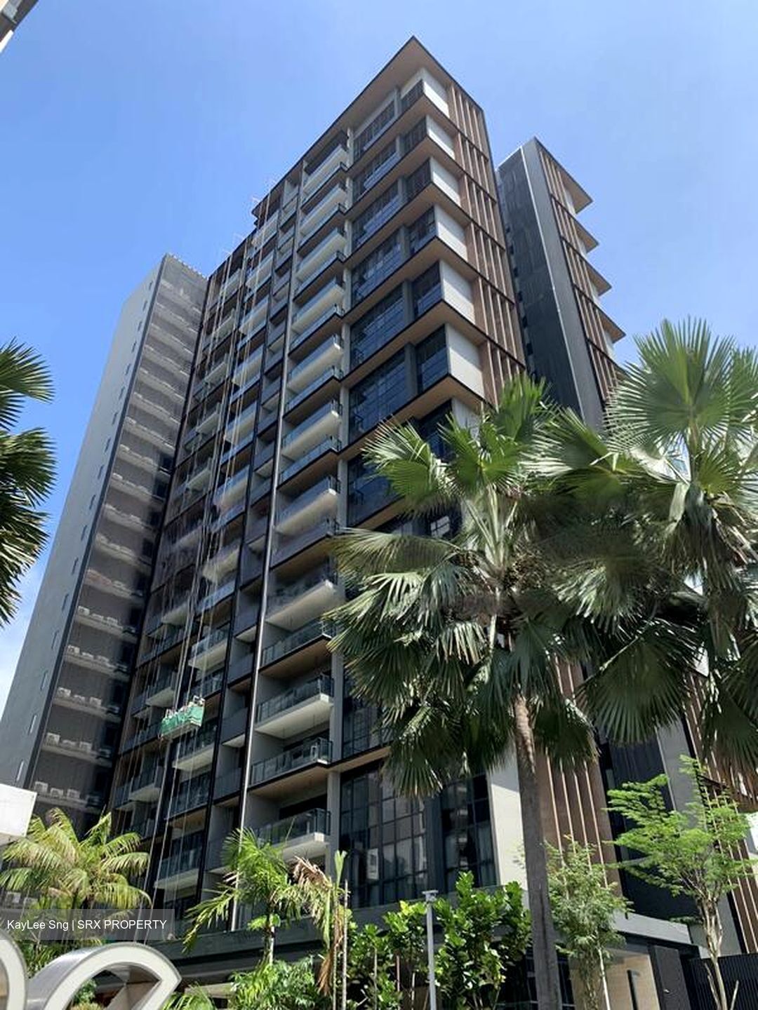 Amber 45 (D15), Apartment #501510201